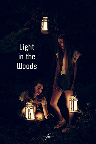 Light in the Woods